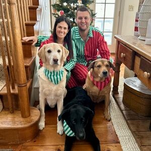Printfresh Pet Bandana in Holiday Stripes